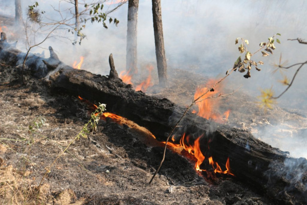 Батайчанам напоминают об ответственности за нарушение требований пожарной безопасности
