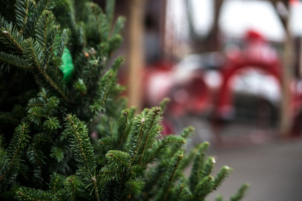 В Батайске стали известны адреса елочных базаров