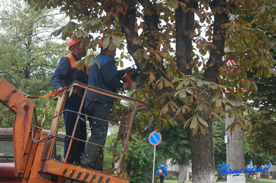 В Батайске начинаются работы по обрезке растений и покосу сорняков