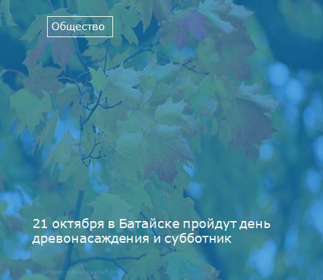 В эту субботу, 21 октября c 9.00 в Батайске пройдет традиционный День древонасаждения и субботник