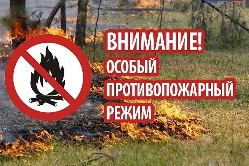 pozhar-2.jpg