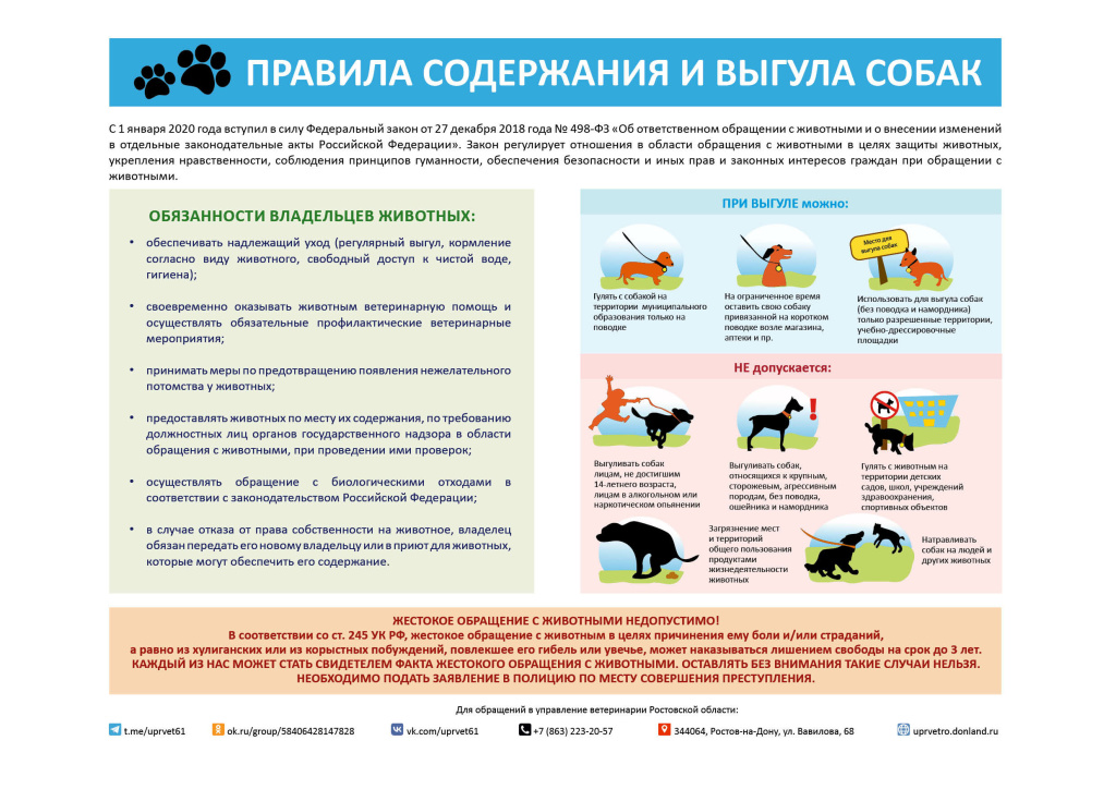 Правила содержания и выгула.jpg