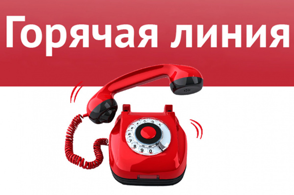 Батайчане смогут позвонить на Горячую линию «Антиконтрафакт»