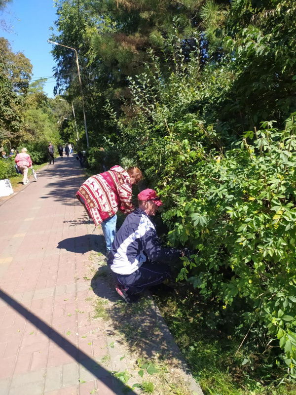 В Батайске пройдет общегородской субботник