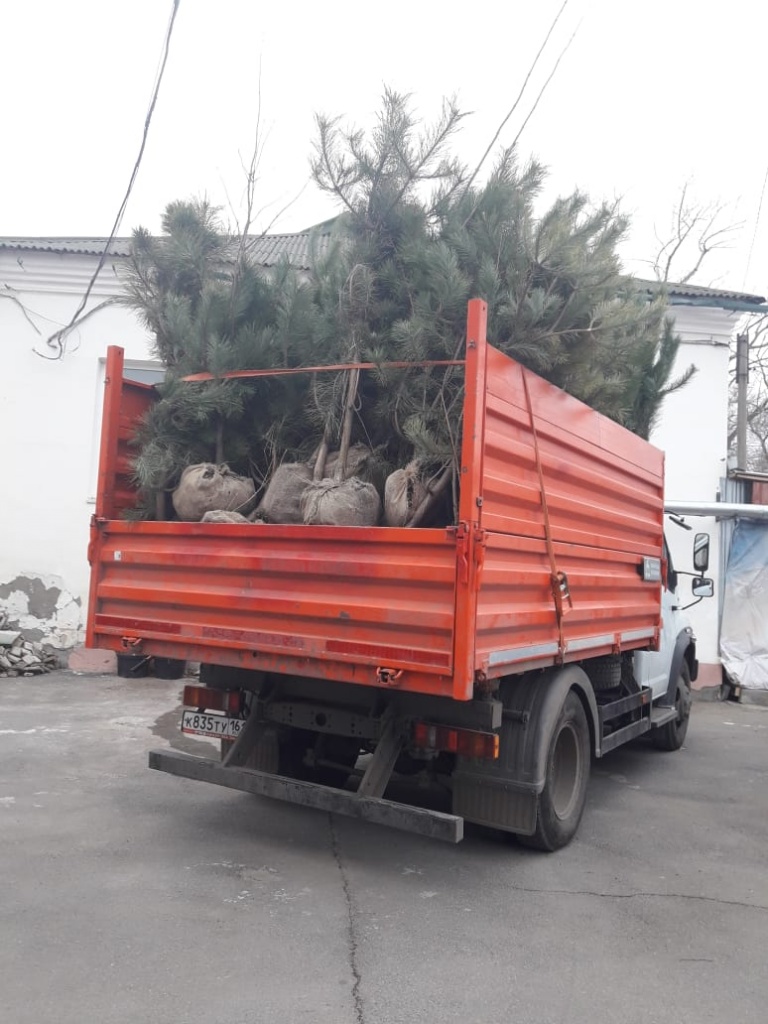 IMG-20191206-WA0025.jpg